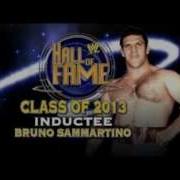 Wwe Hall Of Fame 2013 Theme Song Hall Of Fame The Script Feat William