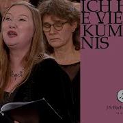 Wie Hast Du Dich Mein Gott From Cantata 21 J S Bach