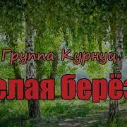 Белая Береза