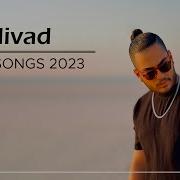 Nivad 2023