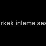 Erek Inleme Sesi