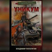 Владимир Поселягин Уникум 3