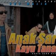 Anak Sarugo Kayu Tanam