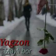 Yolgizbek Mayli Bor