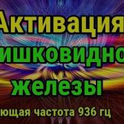 Активация Шишковидной Железы Открытие Третьего Глаза Частота 936 Гц Бинауральные Ритмы