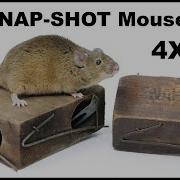 Shot Mouse