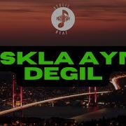 Kim Bile Bile Yok Sayar Remix