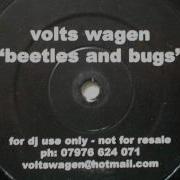 Volts Wagen Beetles And Bugs