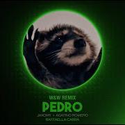 Pedro W W Remix