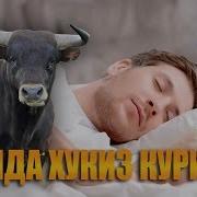 Туш Табири Тушда Сигир Ва Хукиз Куриш