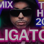 Dj Aligator Remix 2024