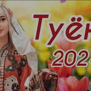 Байди Туёна 2024