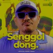 Senggol Dong