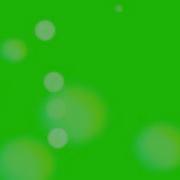 Bokeh Green Screen