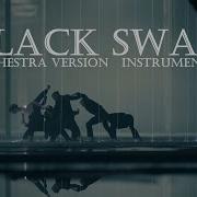 Black Swan Instrumental