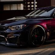 Purple Rein Bmw