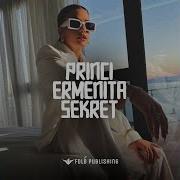 Sekret Ermenita Remix By Princ1