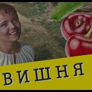 Вишня Тяни