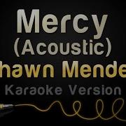 Shawn Mendes Mercy Acoustic Karaoke Version