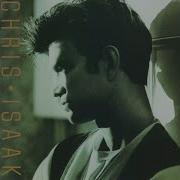 You Took My Heart Chris Isaak