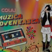 Muzica Moldoveneasca De Petrecere