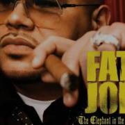 Fat Joe Remy Ma Eminem Mase Remix Megamix