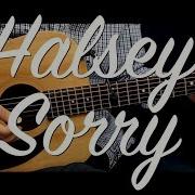 Halsey Sorry Guitar Tutorial Lesson W Chords Guitar Cover How To Play