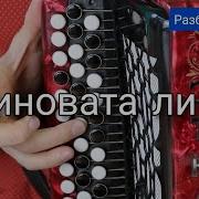 Виновата Ли Я На Баяне