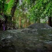 The Sound Of A River That Melts Your Brain The Voice Of A Bird Study Sleep Relaxation Asmr