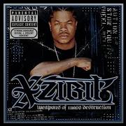 Back 2 The Way It Was Xzibit