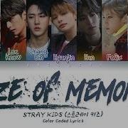 Stray Kids Made Of Memories