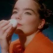 Venus Is A Boy Bjork