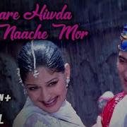 Mhare Hiwda Mein Naache Mor Lyrical Song Hum Saath Saath Hain Sonali