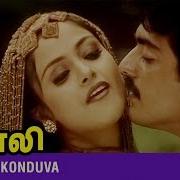 Vaali Music