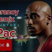 2Pac Ft Thugz Way Paranoy Rmix By Puntori