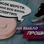 Озвучка Робота Пылесоса