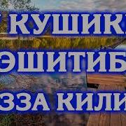 Бу Кушикни Эшитиб Мазза Килинг 2 Курбон Хамдамов Албом Mp3