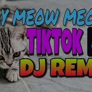 Meow Meow Meow Tiktok Remix