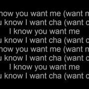 Pitbull I Know You Want Me Lyrics