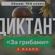 Диктант 6 Класс За Грибами