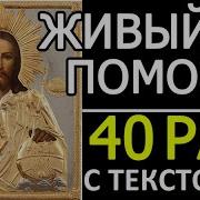 Живый В Помощи 40 Раз Псалом 90