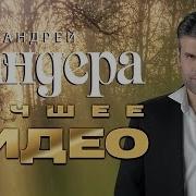 Андрей Бандера