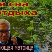 Матрица Гаряева Глубокий Сон