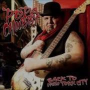 The Future Popa Chubby