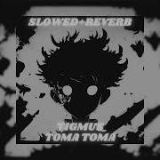 Toma Toma Brazilian Phonk Slowed Reverb