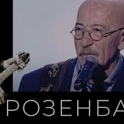 Розенбаум Караван 2024