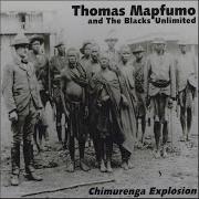 Mapfumo Tomas Chisi