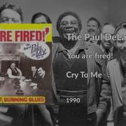 The Paul Delay Band You Are Fired Full Album