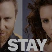 Stay David Guetta Ft Raye