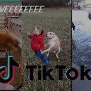 Weee Meme Tiktok